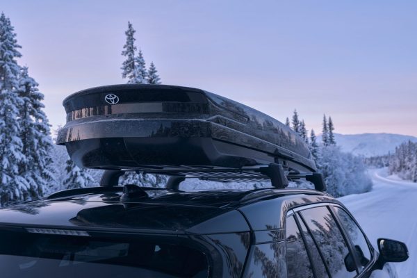 portbagaj_RAV4_Winter